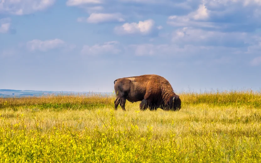 North Dakota